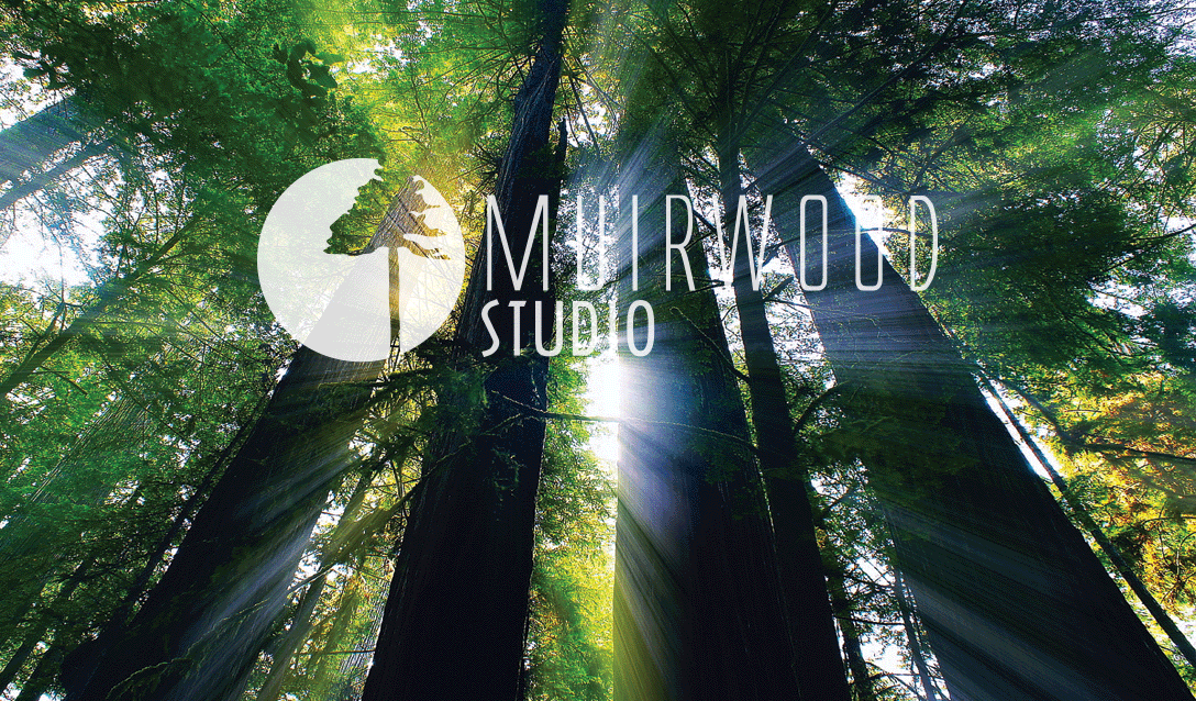 MWS_Verso Nouvelle forest_web3