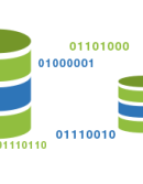 data-1